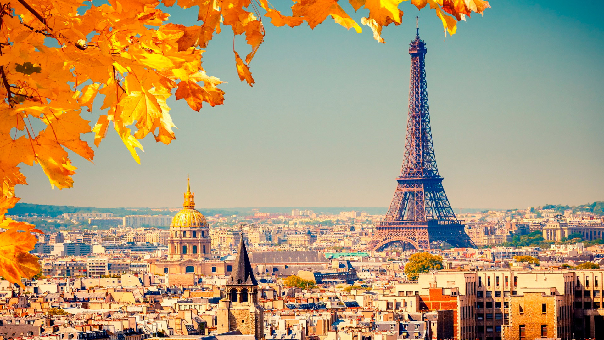 Guacamole Travel Tours